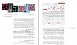دانلود پی دی اف کتاب شیمی عمومی سیلبرگ 344 صفحه PDF-1