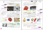 دانلود پی دی اف زیست شناسی 1 مجید علی نوری 168 صفحه PDF-1