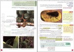 دانلود پی دی اف زیست شناسی 2 پایه یازدهم مجید علی نوری 256 صفحه PDF-1