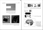 دانلود پی دی اف روان شناسی عمومی یحیی محمدی 251 صفحه PDF-1