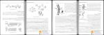 دانلود پی دی اف زیست شناسی سلولی مولکولی و مهندسی ژنتیک مجید مهدوی 198 صفحه PDF-1