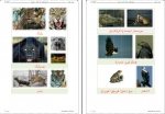 دانلود پی دی اف آموزش زبان کردی کتاب سوم جامعه کردهای اروپا 34 صفحه PDF-1