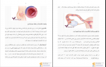 دانلود پی دی اف بارداری و تغییر وضعیت جنین از هفته سوم تا چهلم 298 صفحه PDF-1