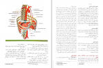 دانلود پی دی اف آناتومی گری جلد اول 571 صفحه PDF-1