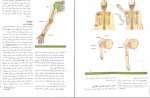 دانلود پی دی اف آناتومی گری جلد دوم 316 صفحه PDF-1