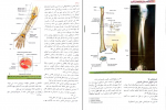 دانلود پی دی اف آناتومی گری جلد دوم 316 صفحه PDF-1