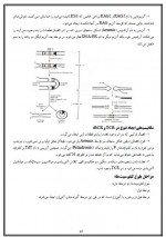 دانلود پی دی اف جزوه ایمونولوژی مراد رستمی 85 صفحه PDF-1