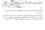 دانلود پی دی اف جزوه مهندسی پزشکی دانشگاه شریف 288 صفحه PDF-1