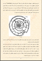 دانلود پی دی اف کد کیهانی زکریا سیچین  345 صفحه PDF-1