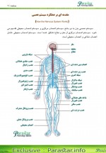 دانلود پی دی اف فرایند پرستاری ماری دی گیولیو 69 صفحه PDF-1