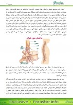 دانلود پی دی اف فرایند پرستاری ماری دی گیولیو 69 صفحه PDF-1