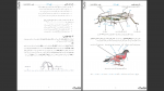 دانلود پی دی اف جزوه زیست شناسی دهم ویژه کنکور 1404 حنیف عظیمی 670 صفحه PDF-1