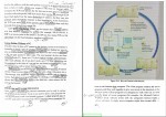 دانلود پی دی اف زبان تخصصی برای دانشجویان کامپیوتر منوچهر حقانی 235صفحه PDF-1