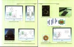 دانلود پی دی اف شیمی آلی 2 ساختار و کاربرد مجید صادقی 530 صفحه PDF-1