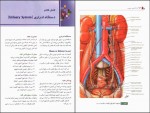 دانلود پی دی اف جامع آناتومی عمومی ابوعبدالرحمن الکردی 343 صفحه PDF-1