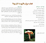دانلود پی دی اف آشپزی با قارچ اکرم ذاکری 62 صفحه PDF-1