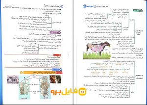 دانلود pdf کتاب زیست تصویری مهروماه