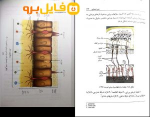 دانلود پی دی اف روانشناسی احساس و ادراک محمود ایروانی