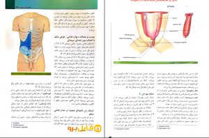 کتاب آناتومی گری جلد اول